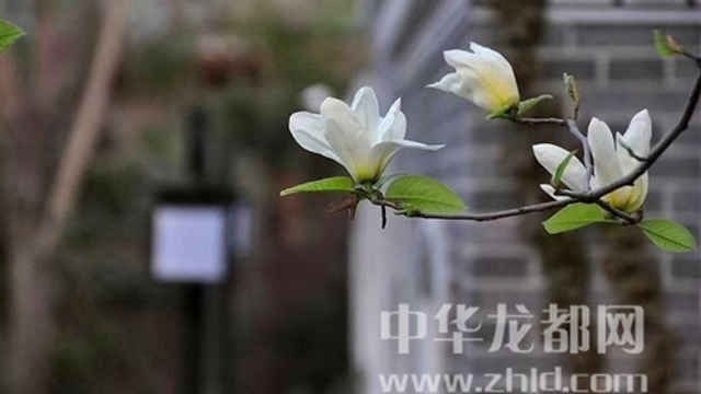 淮陽蓮舍，多了一份味道