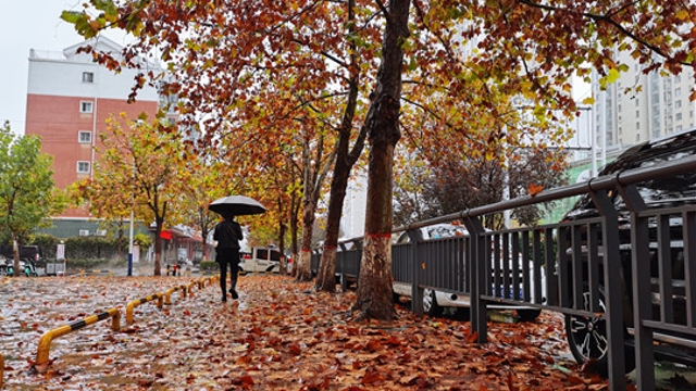 雨中周口，別有一番韻味