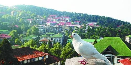  有著“云中山城”之稱的牯嶺鎮(zhèn)面臨著遷民下山。